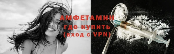 гидра Ельня