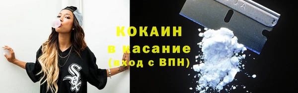 гидра Ельня