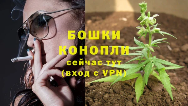 мяу мяу кристалл Гусь-Хрустальный