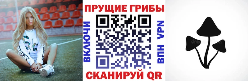 кракен зеркало  цены наркотик  Красновишерск  Псилоцибиновые грибы ЛСД 